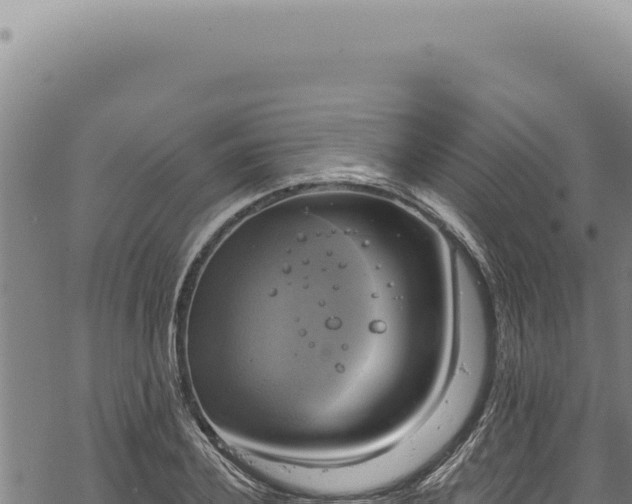 X0000068840932200605121403