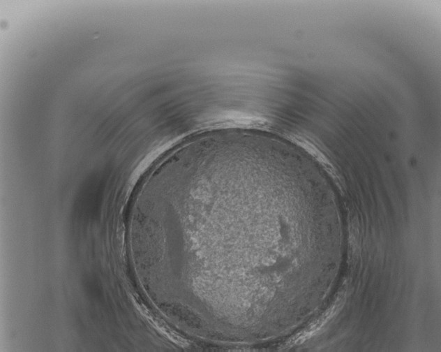 X0000068840933200605121403