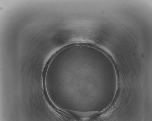 X0000068840935200605121403