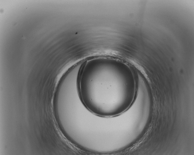 X0000068840936200605121403