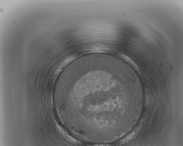 X0000068840938200605121403