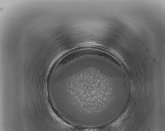 X0000068840939200605121403