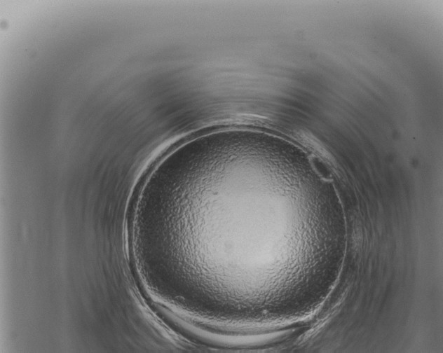 X0000068840940200605121403