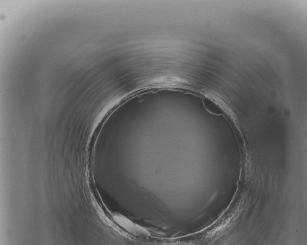 X0000068840941200605121403