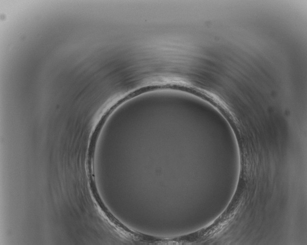 X0000068840943200605121403