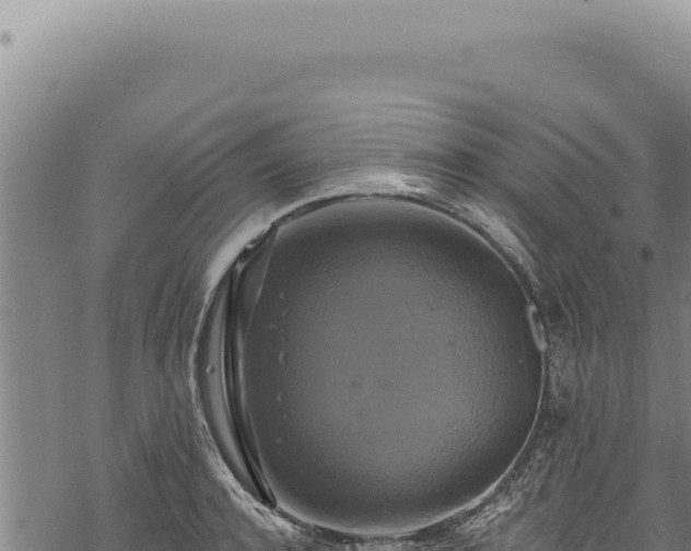 X0000068840944200605121403