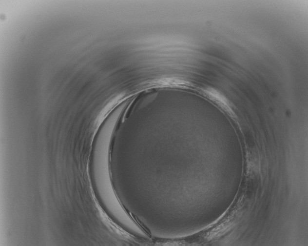 X0000068840946200605121403