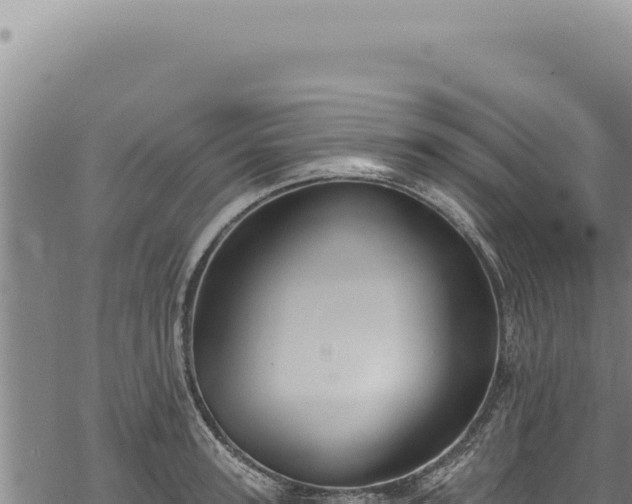 X0000068840947200605121403