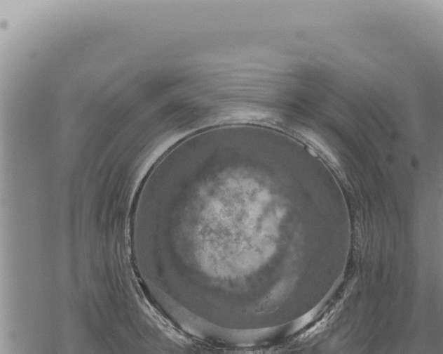 X0000068840948200605121403