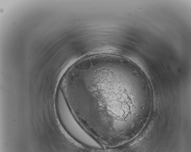 X0000068840949200605121403