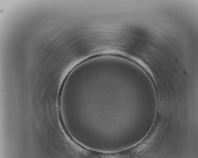 X0000068840951200605121403