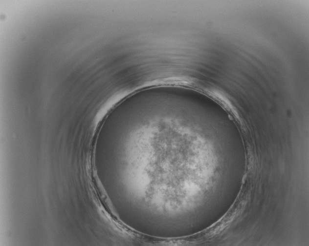 X0000068840952200605121403