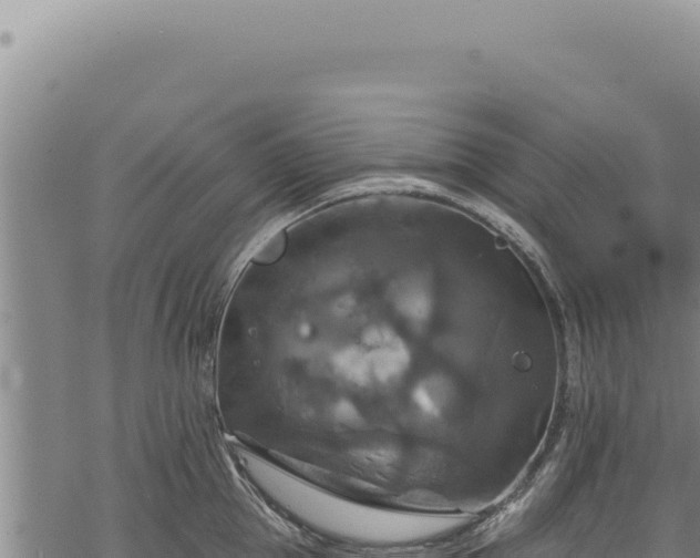 X0000068840953200605121403