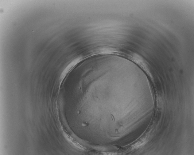 X0000068840954200605121403