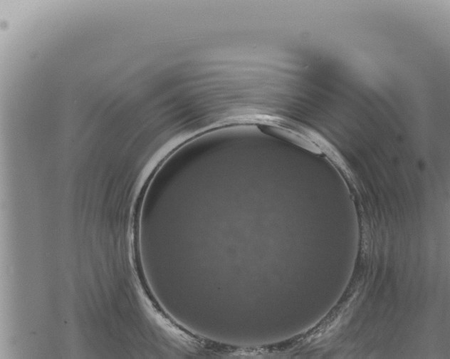 X0000068840955200605121403