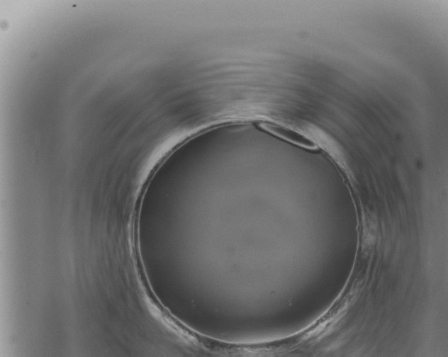 X0000068840958200605121403