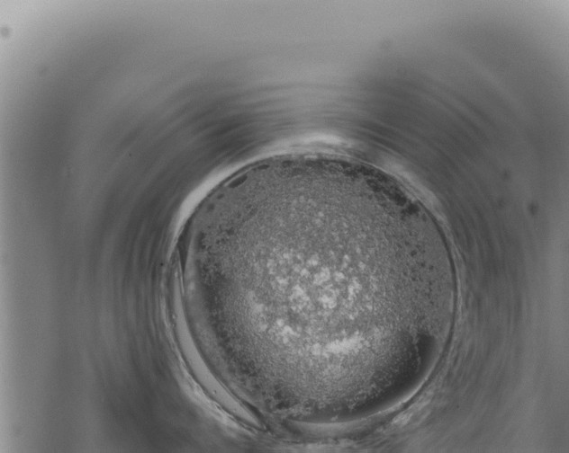 X0000068840960200605121403