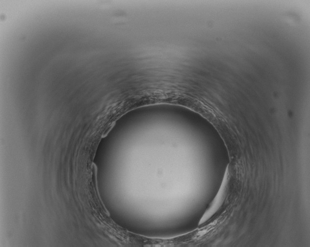 X0000068840961200605121402