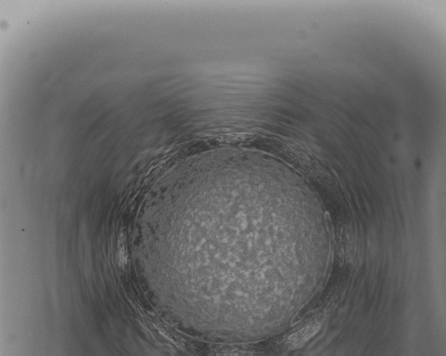 X0000068840962200605121402