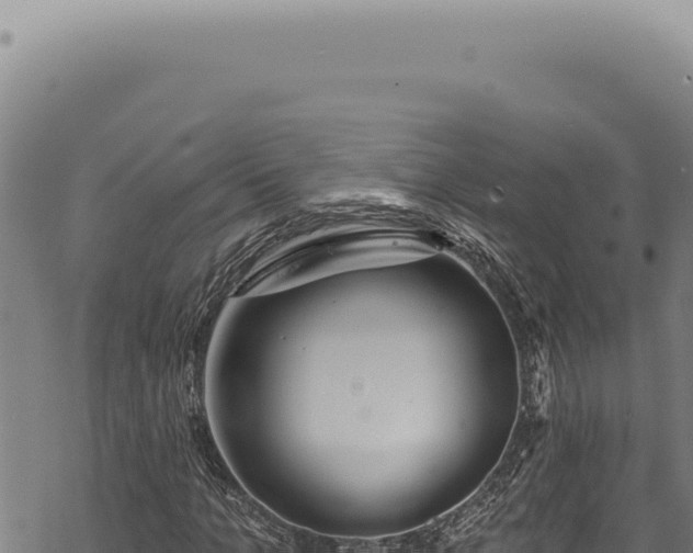 X0000068840965200605121402