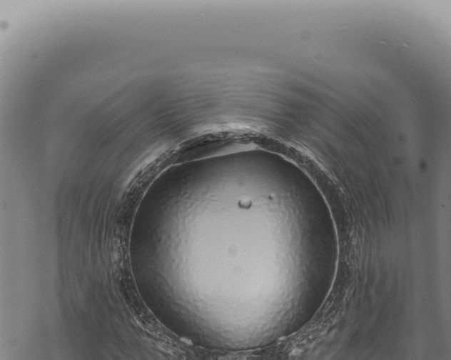 X0000068840967200605121402