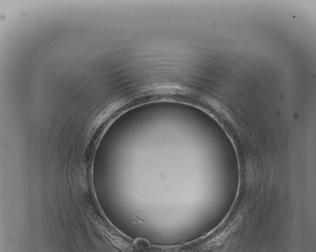 X0000068840970200605121402