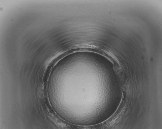 X0000068840971200605121402