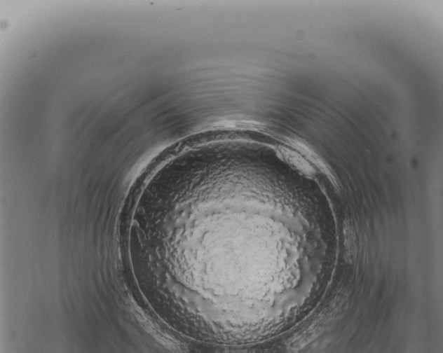 X0000068840972200605121402