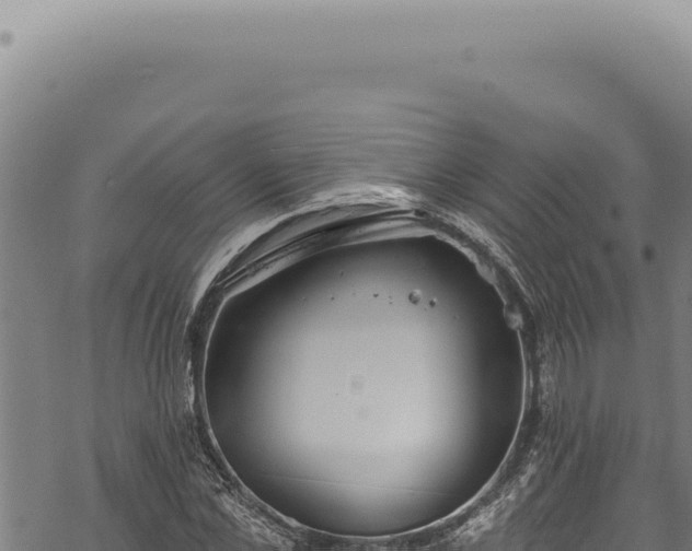 X0000068840973200605121402