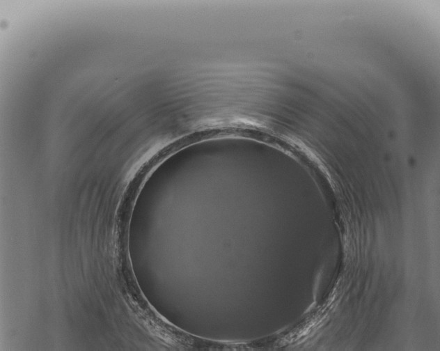 X0000068840975200605121402