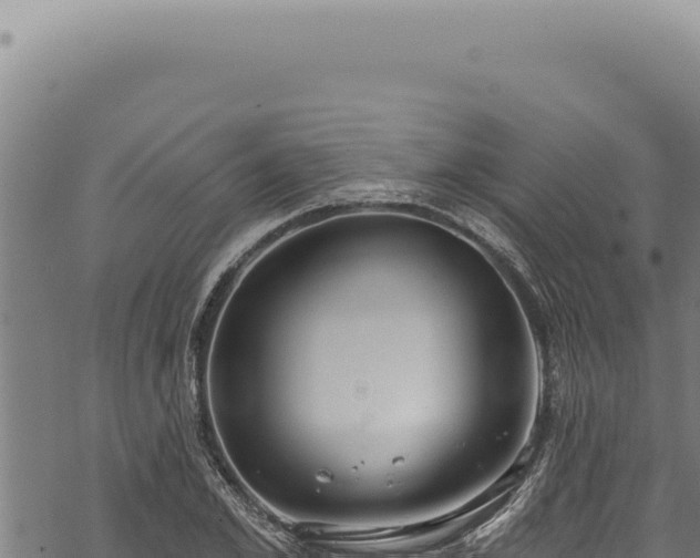 X0000068840981200605121402