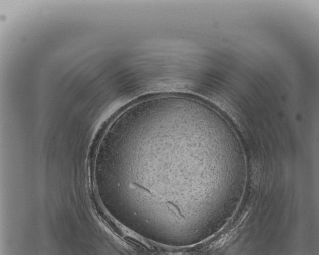 X0000068840982200605121402