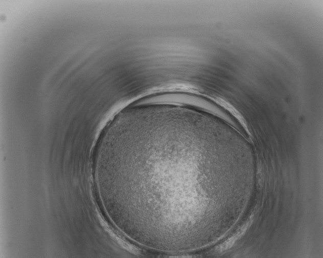 X0000068840989200605121402