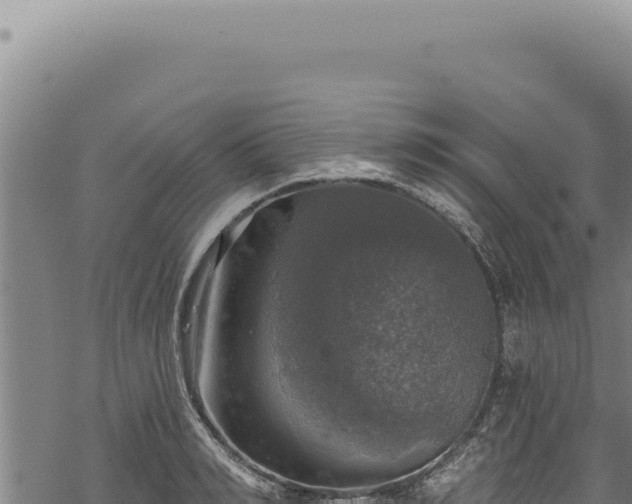 X0000068840990200605121402