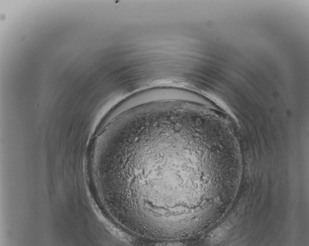 X0000068840991200605121402