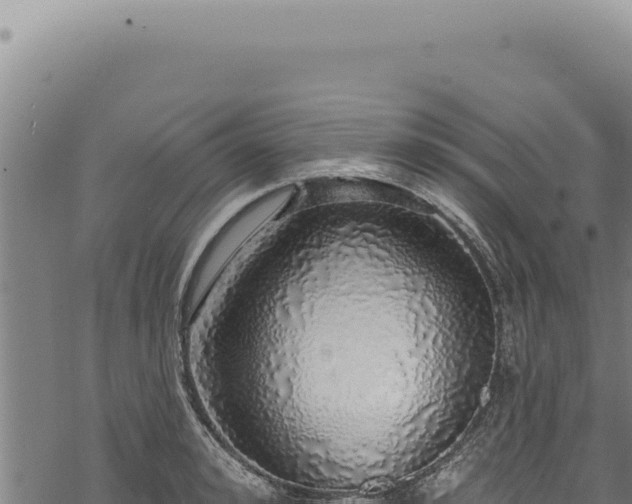 X0000068840992200605121402