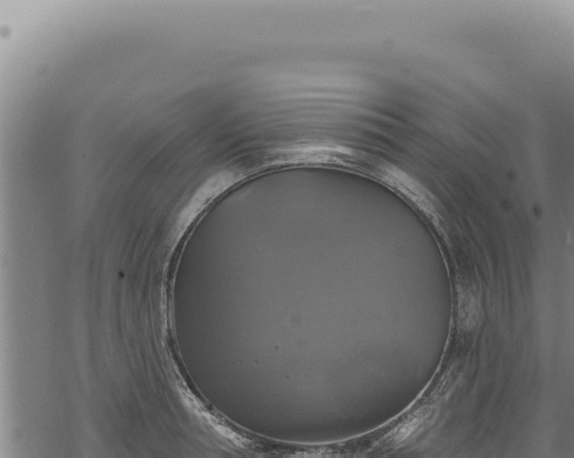 X0000068840994200605121402