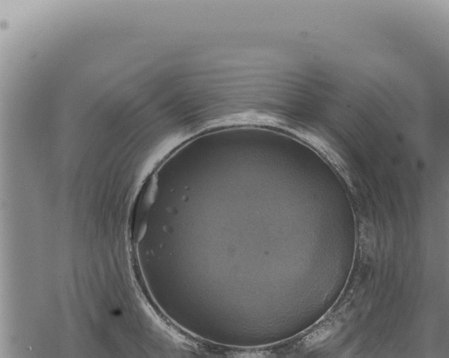 X0000068840998200605121402