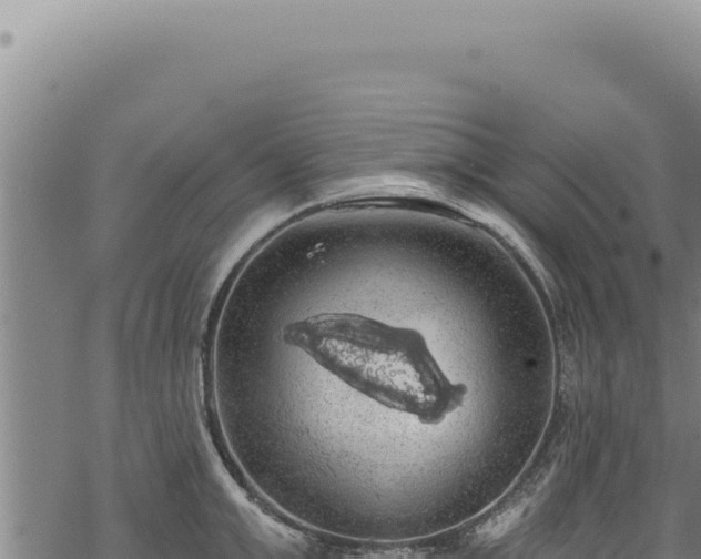 X0000068840999200605121402