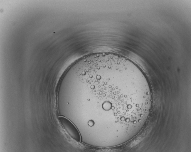 X0000068841000200605121402