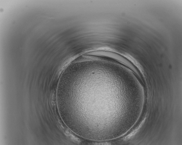 X0000068841001200605121402