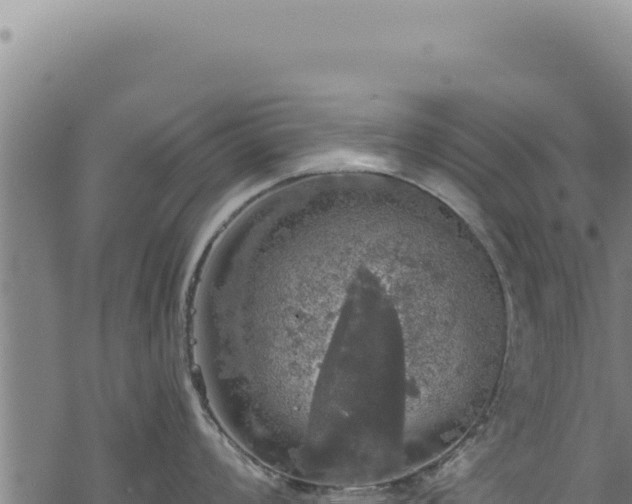 X0000068841008200605121402