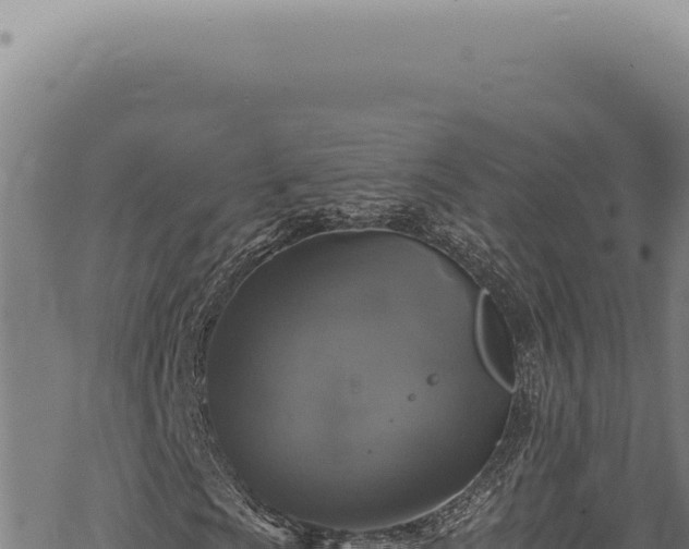 X0000068841009200605121401