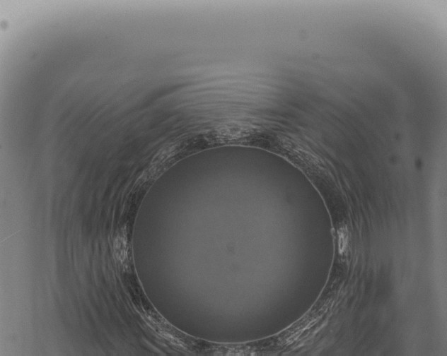 X0000068841011200605121401