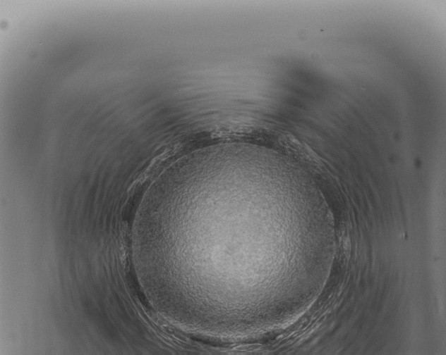 X0000068841012200605121401