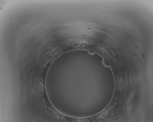 X0000068841013200605121401