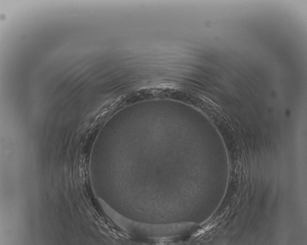 X0000068841014200605121401