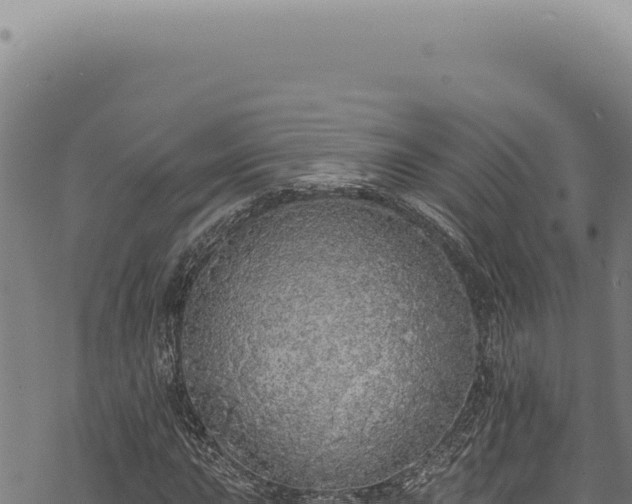 X0000068841015200605121401