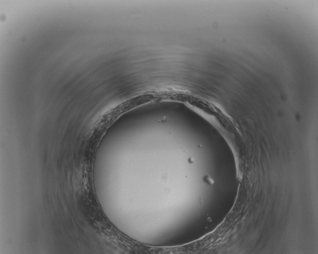 X0000068841016200605121401