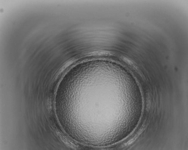 X0000068841017200605121401